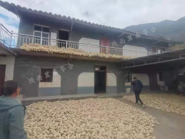 ɽũӹĿ